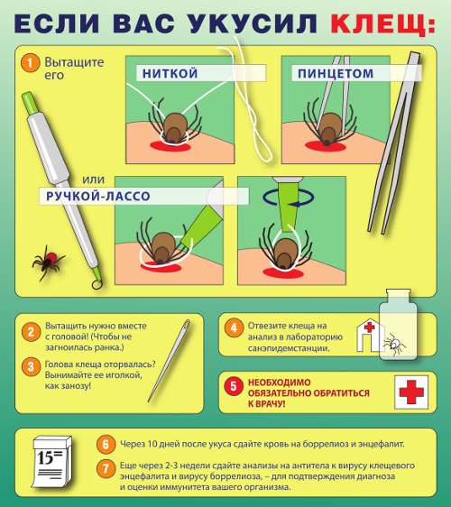 Если вас укусил клещ.