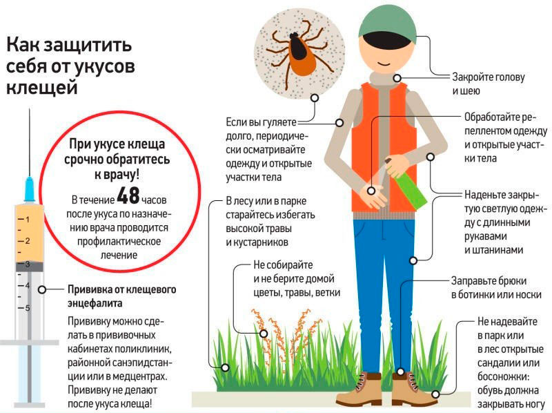 Как защитить себя от укусов клещей.