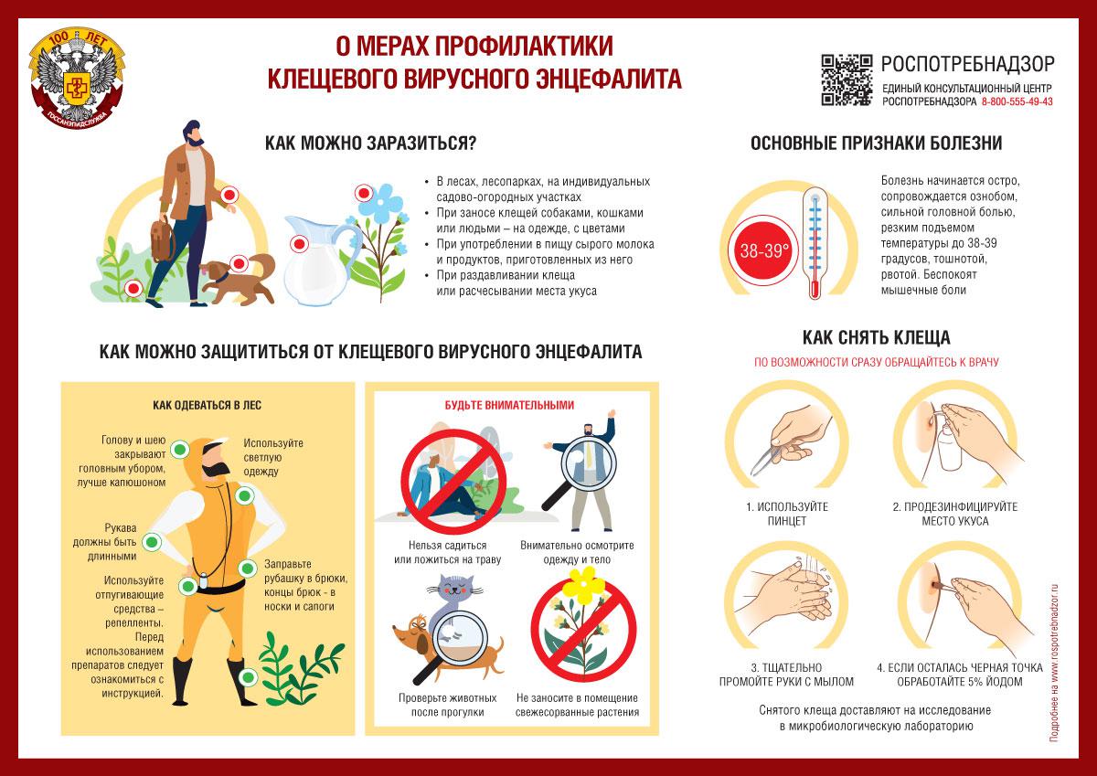 Профилактика клещевого вирусного энцефалита.